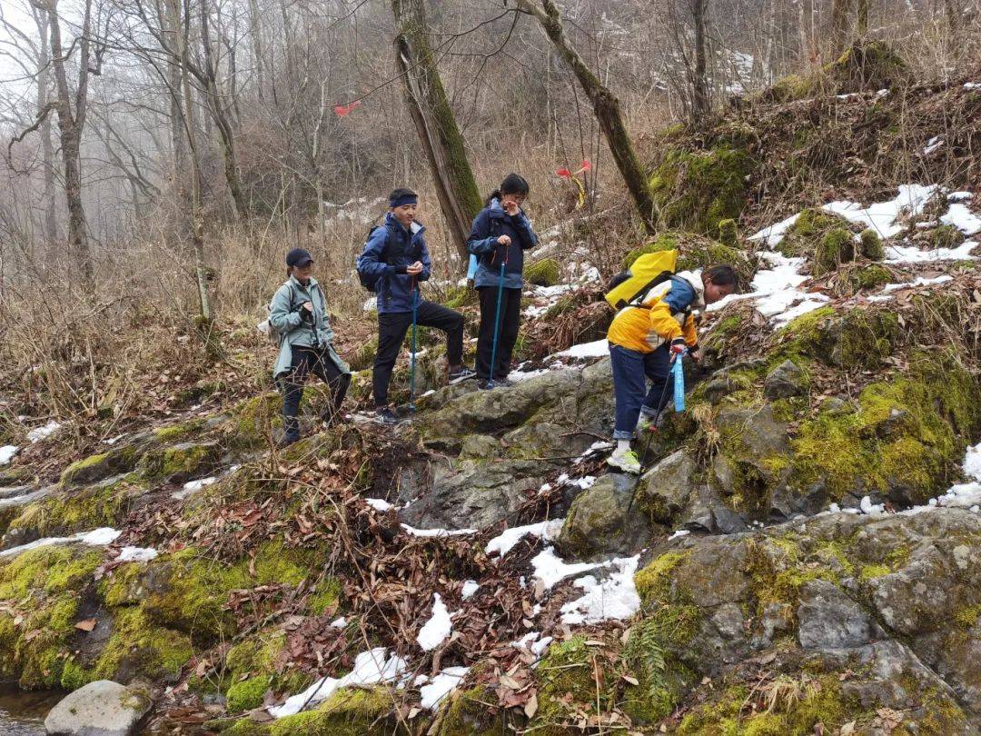 本周活动合集秦岭花海户外徒步休闲踏春邂逅醉美春光