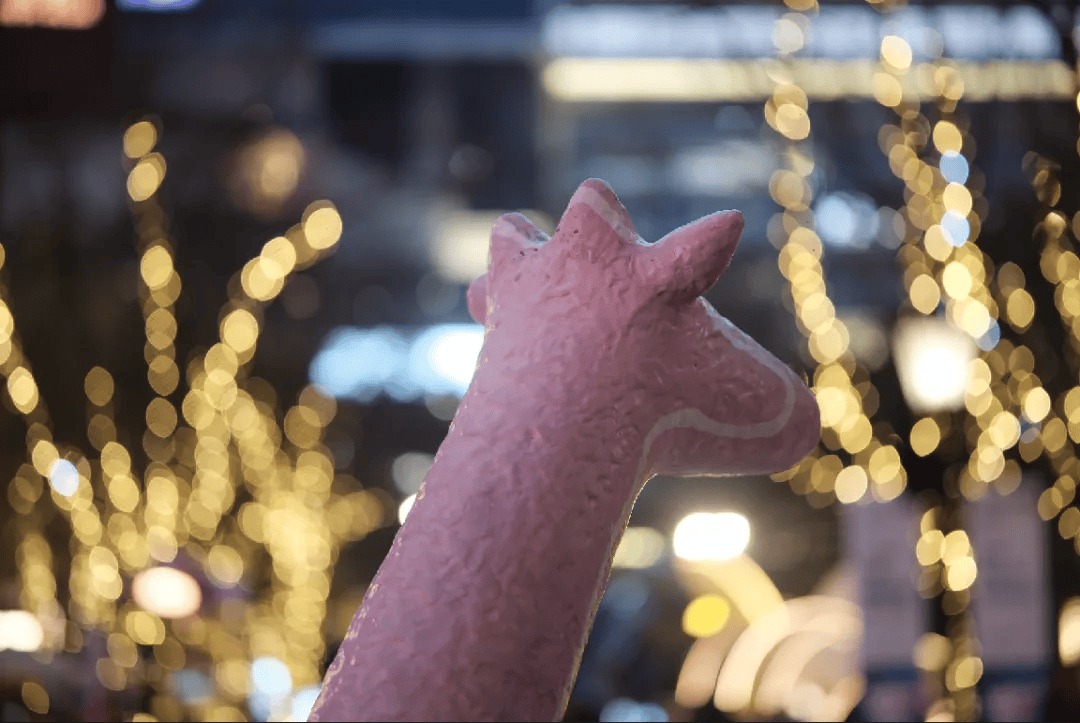 入门的售价顶级的锐度唯卓仕5617上手体验