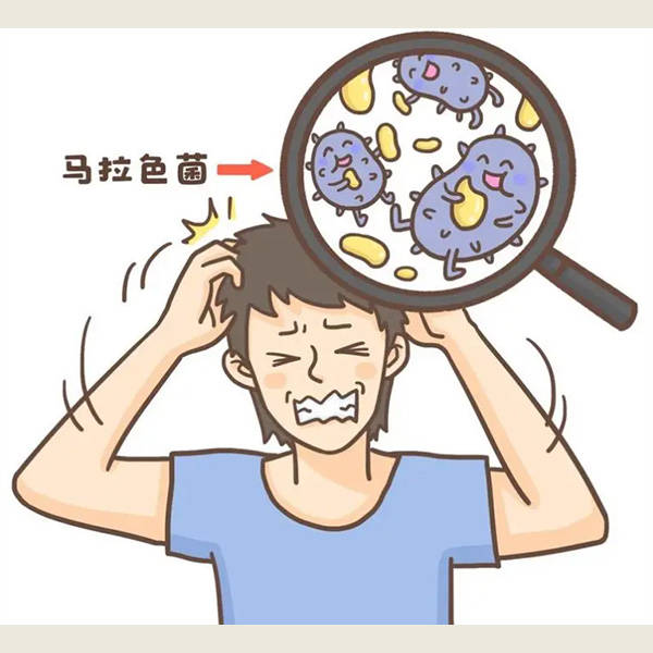 用什么去屑洗发水好控油止痒洗发水排行榜