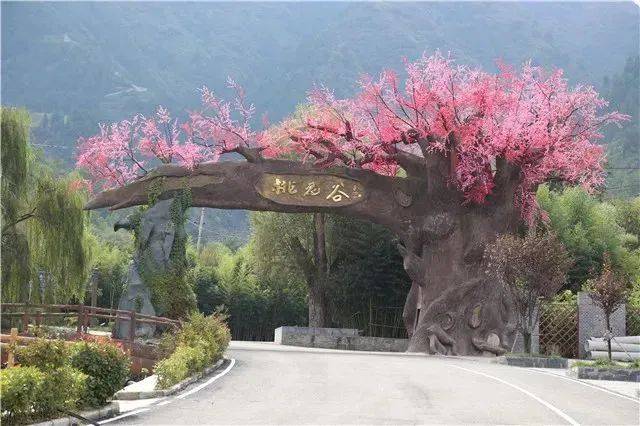 三秦四季 花开商洛 | 最美人间四月天!丹凤这几条旅游路线不可错过