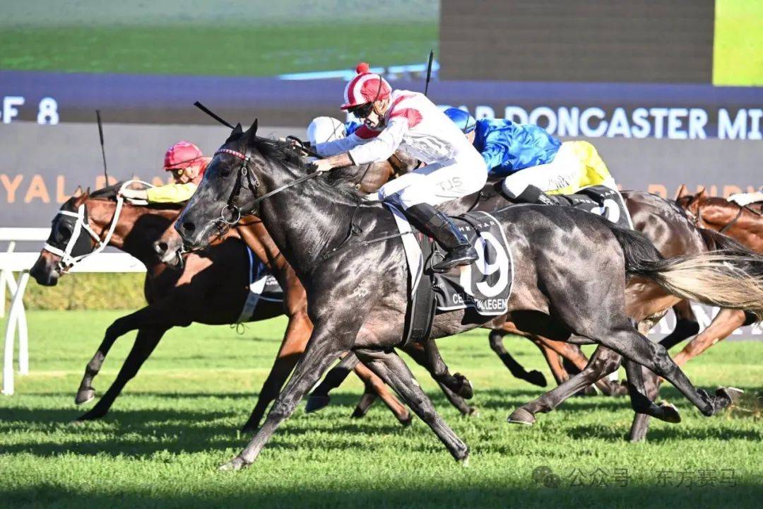 2024全球纯血马一级赛周报04010407