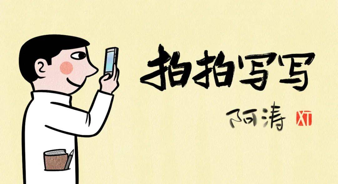 拍拍写写(之六):你的美丽,让我说话都结巴_椅子_玫瑰_植物