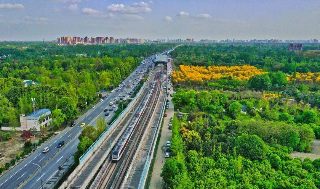 地铁直达→_铃木_黄花_金星