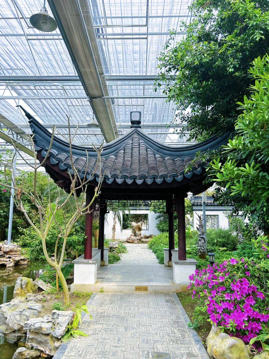 在灵璧现代农业博览园一起逛春天!