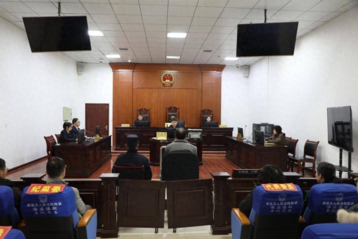 父亲将名下公司股权转让给女儿避债法院判刑7个月