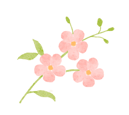 公园花信风人间四月天海棠花中仙