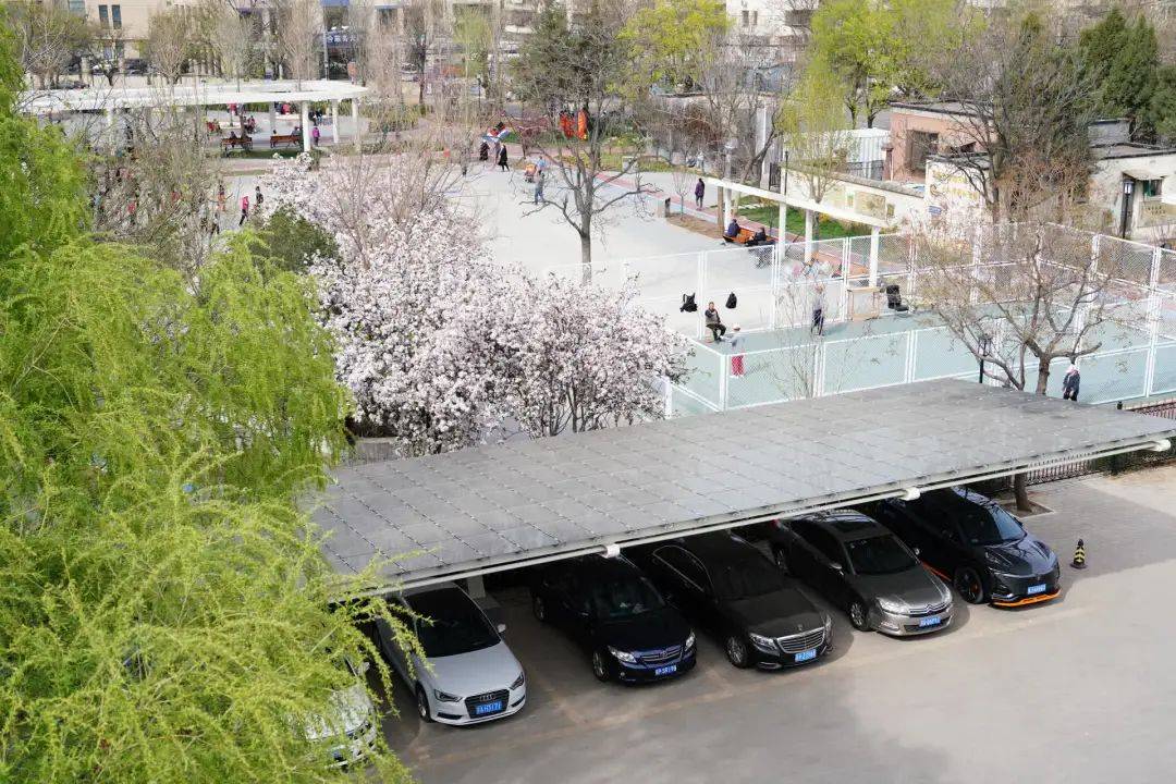 基层坐标北京丰台青塔一个公园用电自给自足的探索