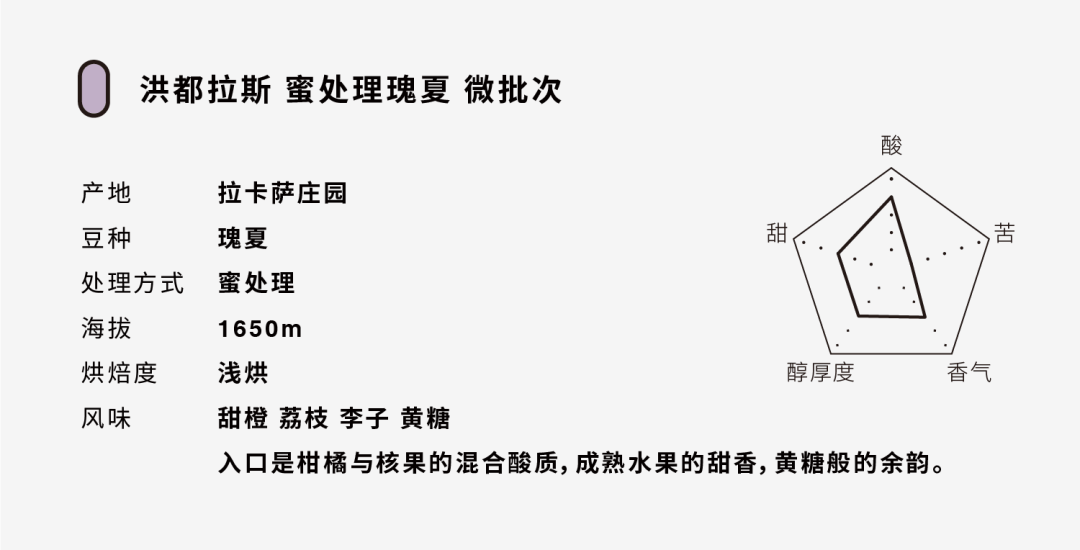 洪都拉斯的蜜处理瑰夏,入口有着柑橘与核果的混合酸质,荔枝的甜香