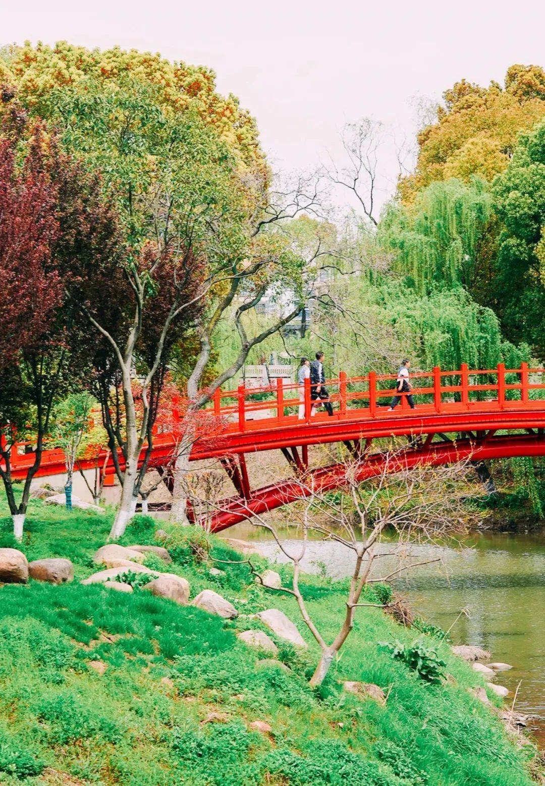 "_公园_南京城_门票