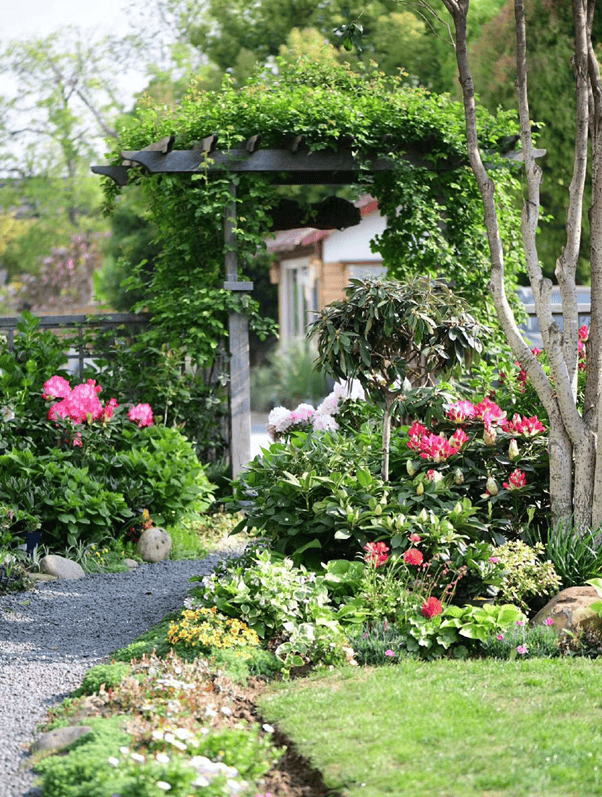 即将开幕!_杜鹃_应用_园艺