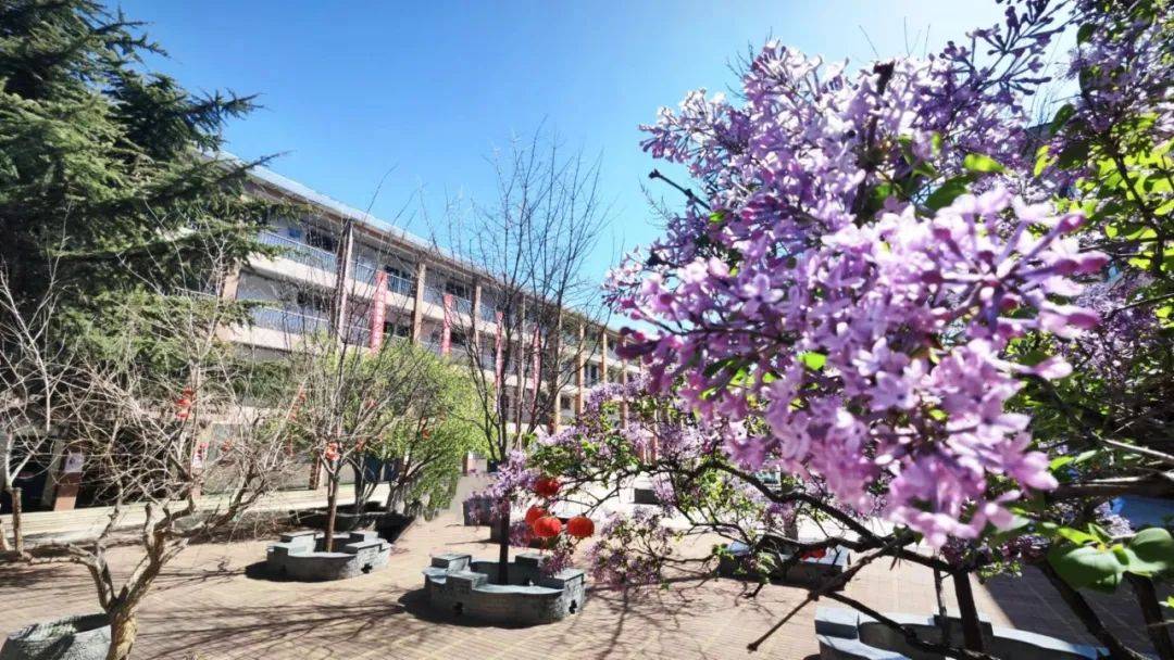 4月来探访临淄美丽校园