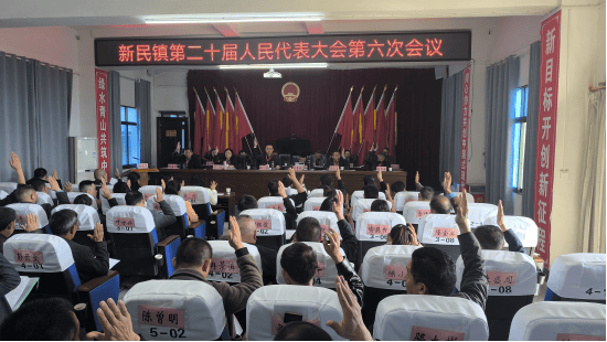 乡镇人大新民镇第二十届人民代表大会第六次会议胜利召开