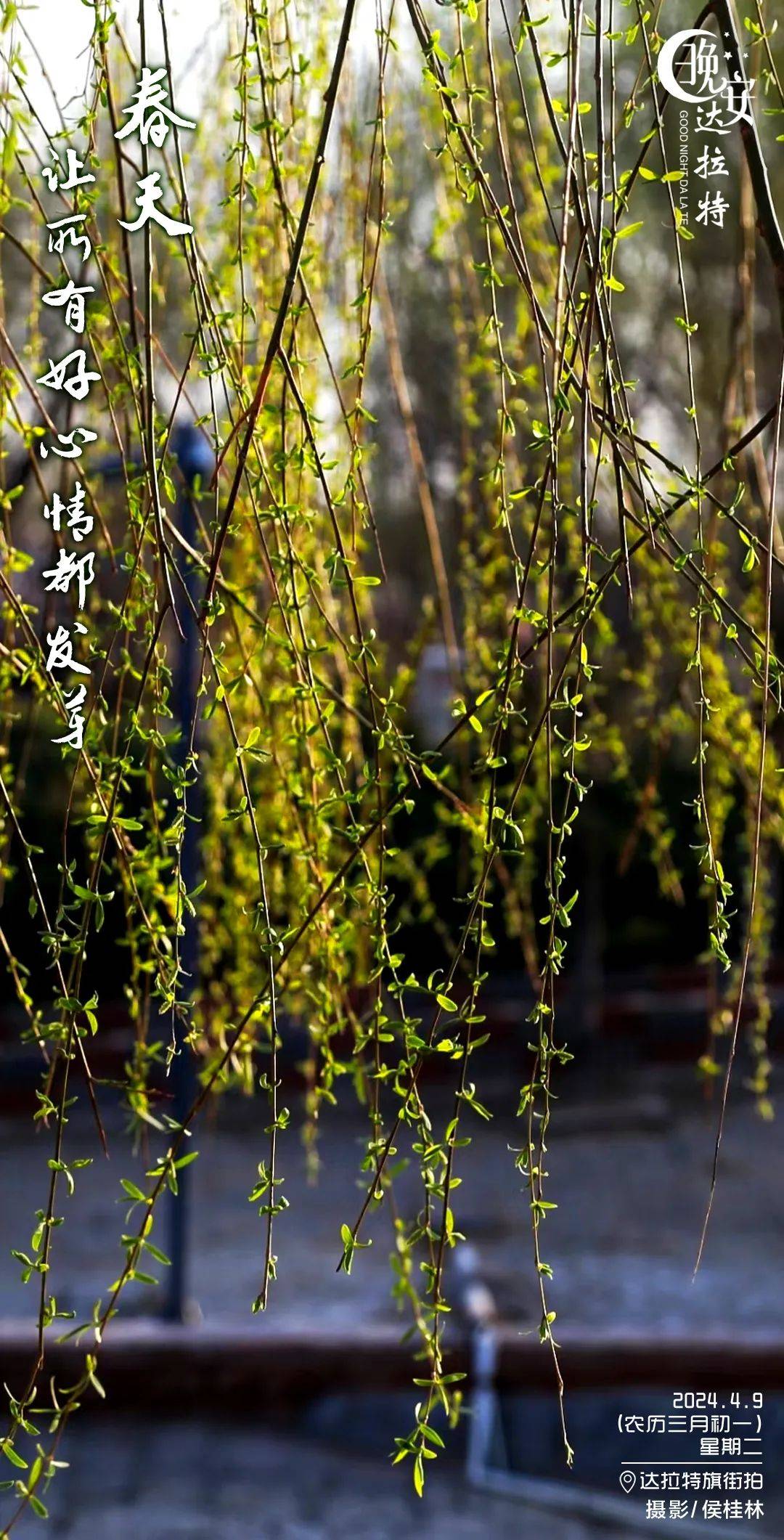 1080_2121竖版 竖屏