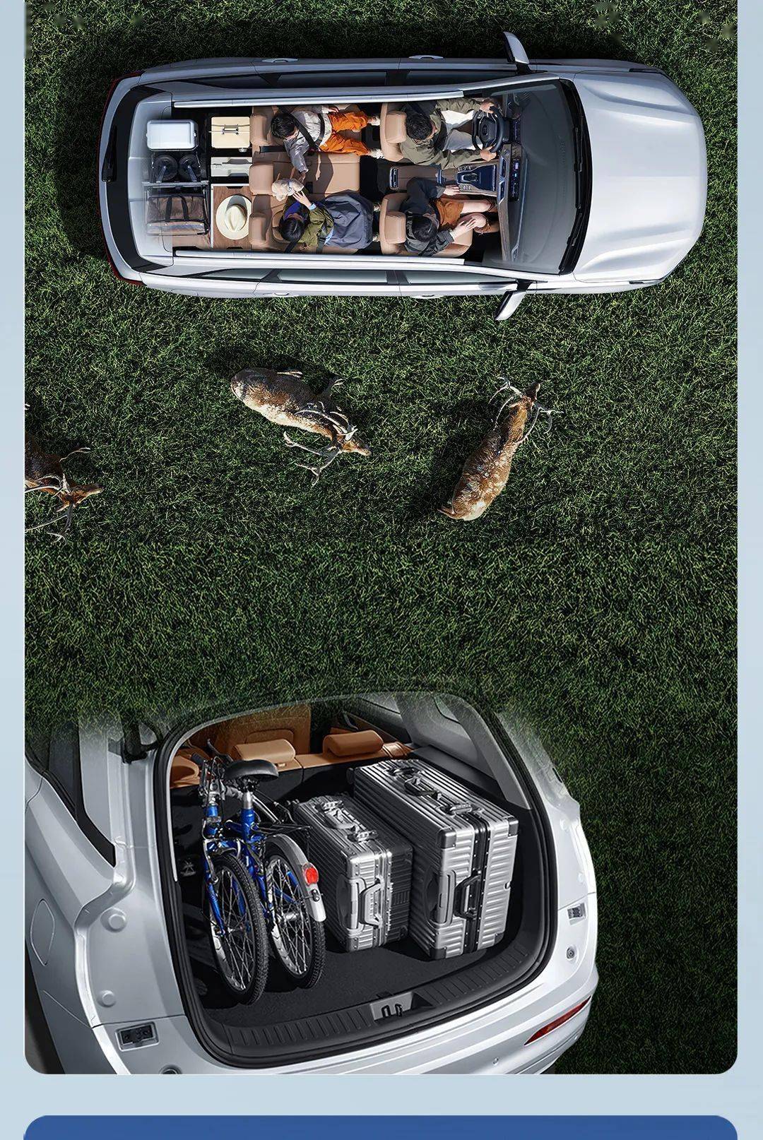 98 万元起_搜狐汽车_搜狐网