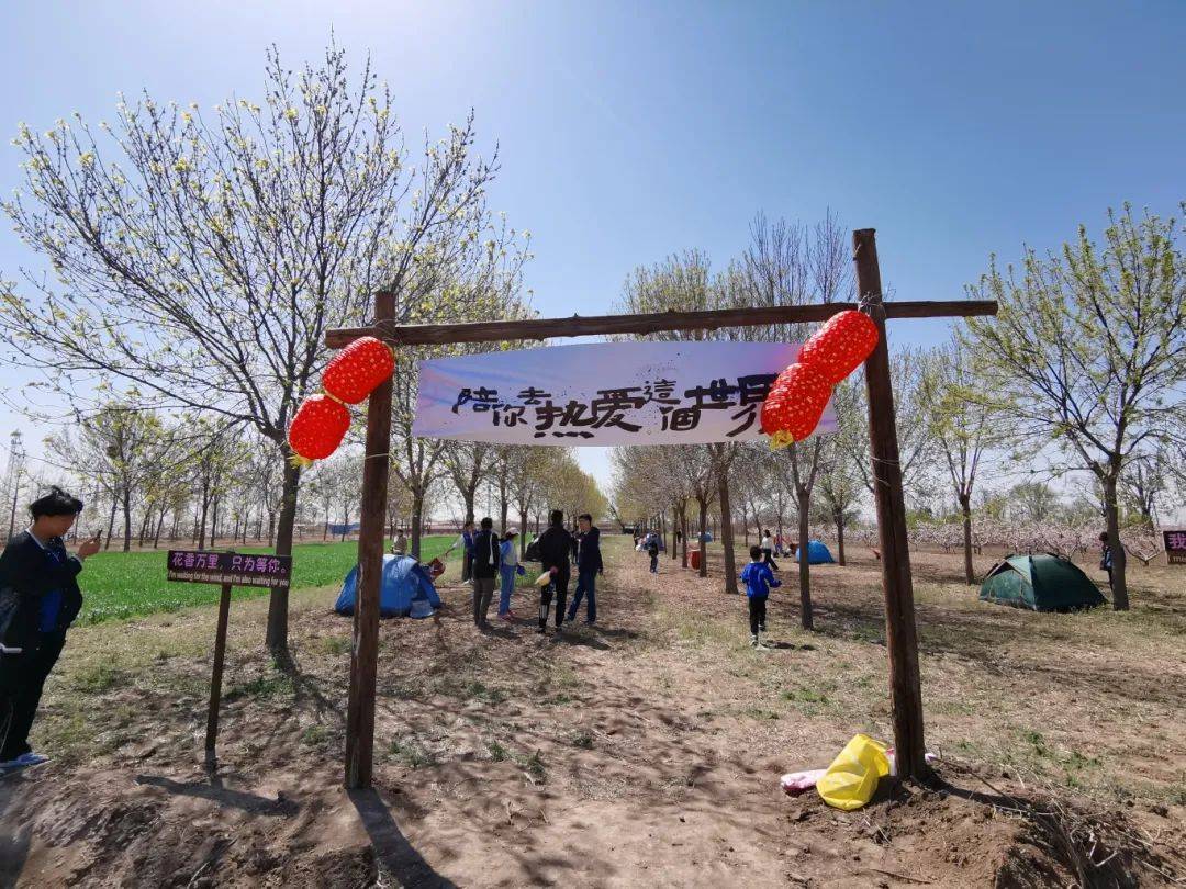 本周日小王庄镇桃花节盛大开幕