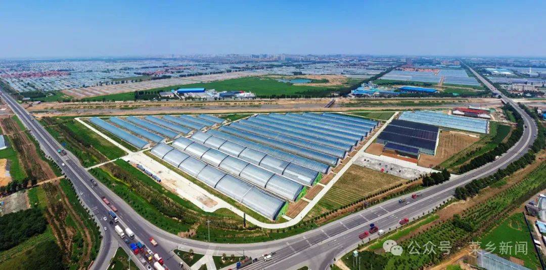 寿光市全面推进乡村振兴工作综述