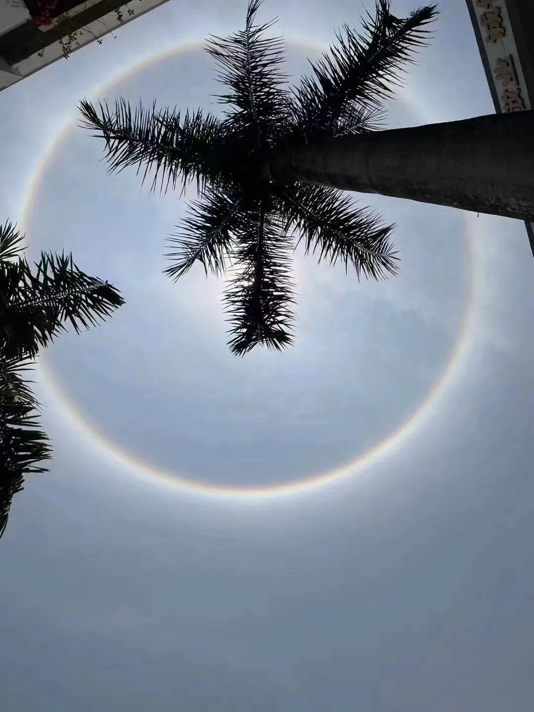 快看刚刚珠海上空惊现的一幕很多街坊都拍到了