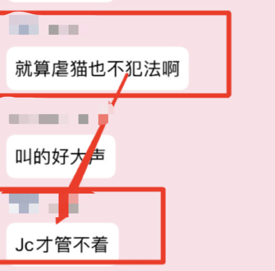 虐猫狂魔后续他是无辜的
