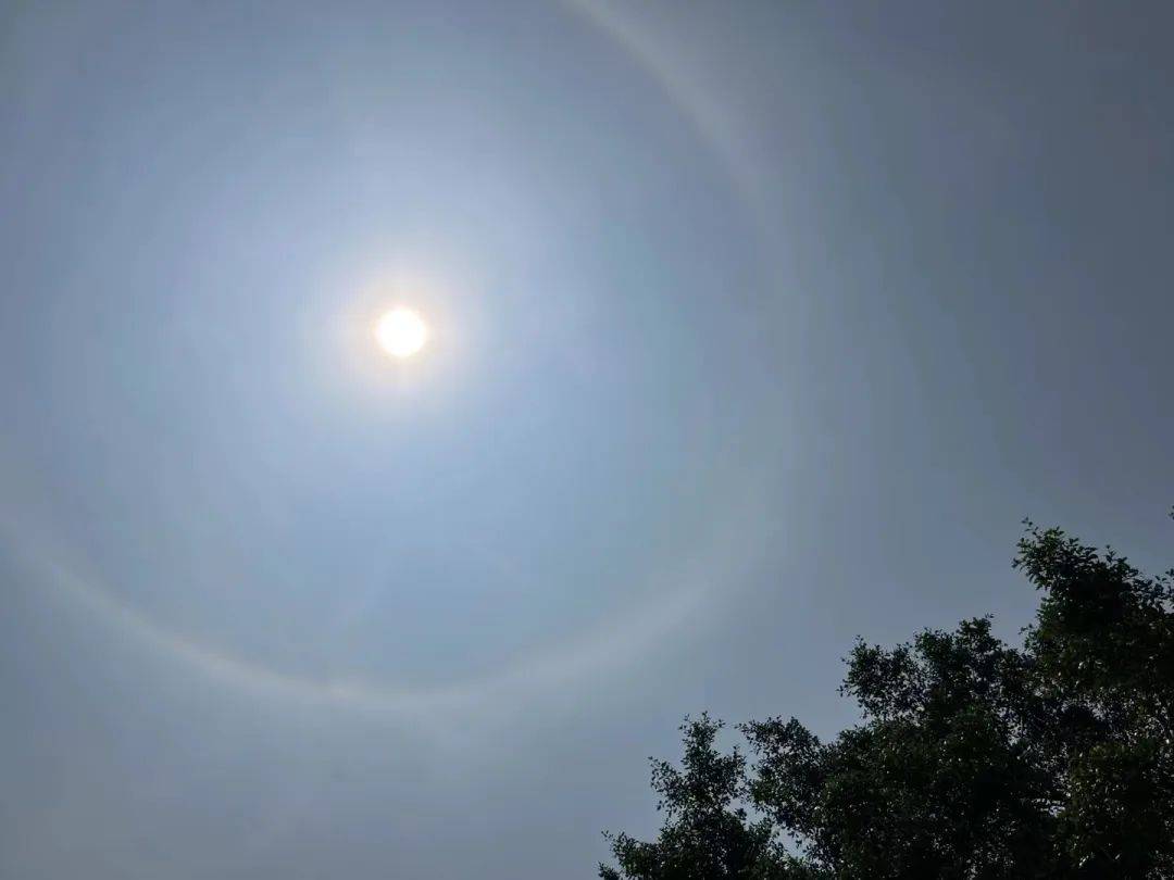【热议】热搜第一!广东今日多地出现"日晕"
