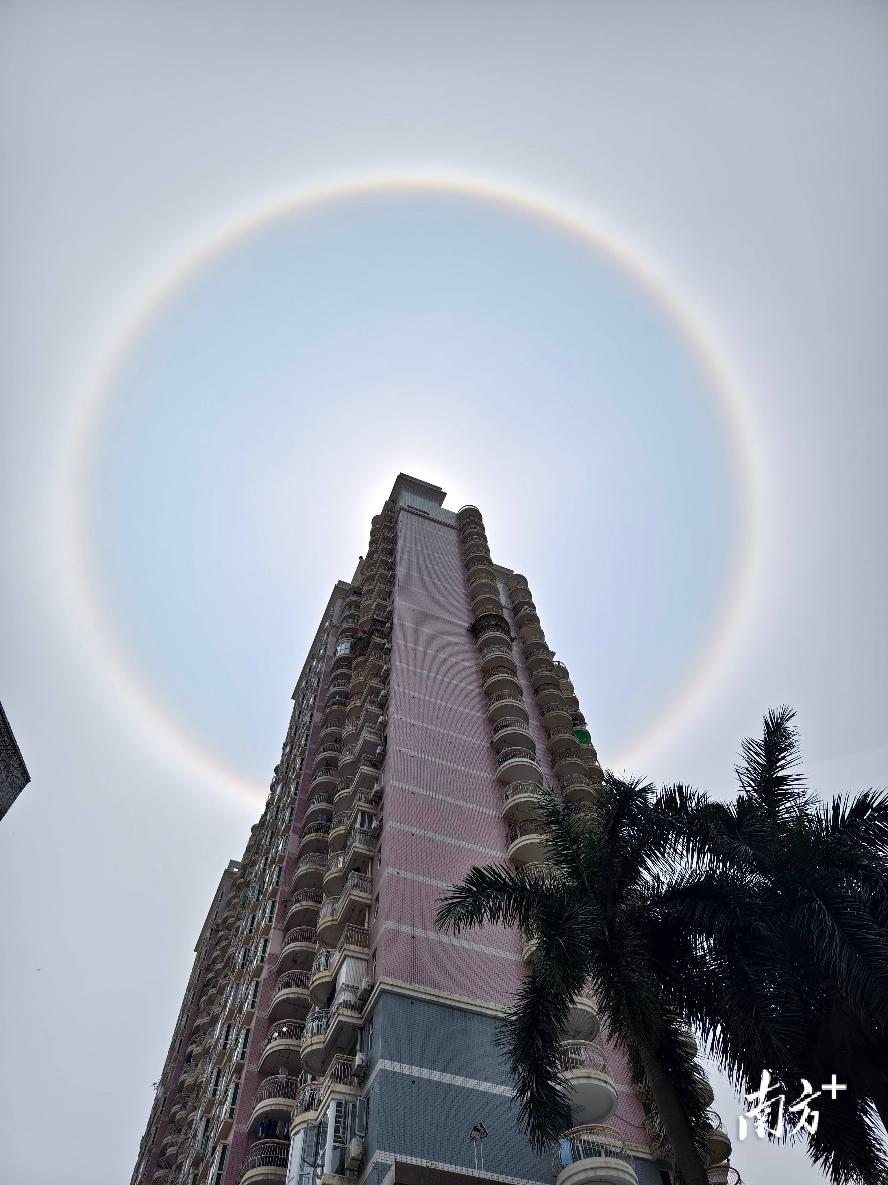 广东多地天空现日晕,你拍到了吗?|南方 拍客