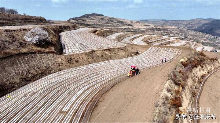 庄浪社会化服务助力春耕生产