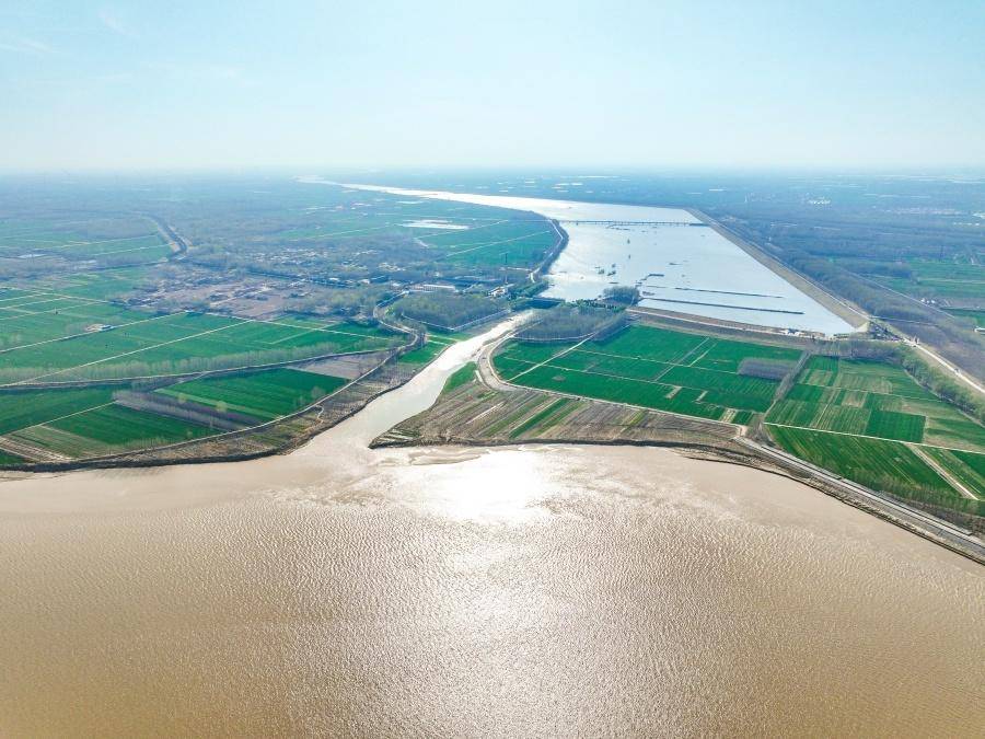 4月9日,阳谷县陶城铺三河交汇处,黄河蜿蜒曲折,岸边麦田透出新绿,柳树