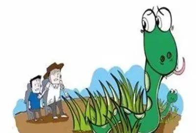 遇蛇该怎么办?
