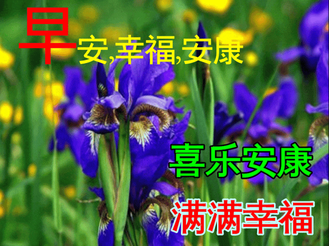2024最新早上好祝福语早上好精句短句健康快乐平安