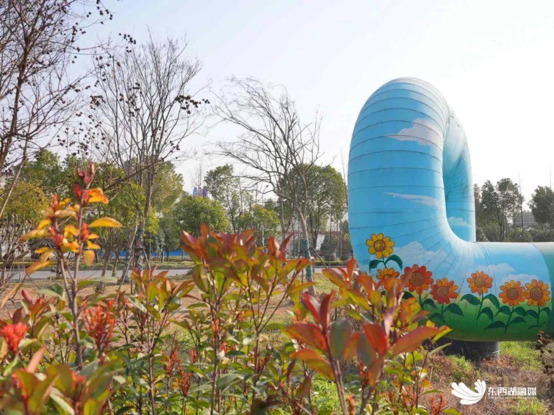 开车路过东西湖这个街道又美了