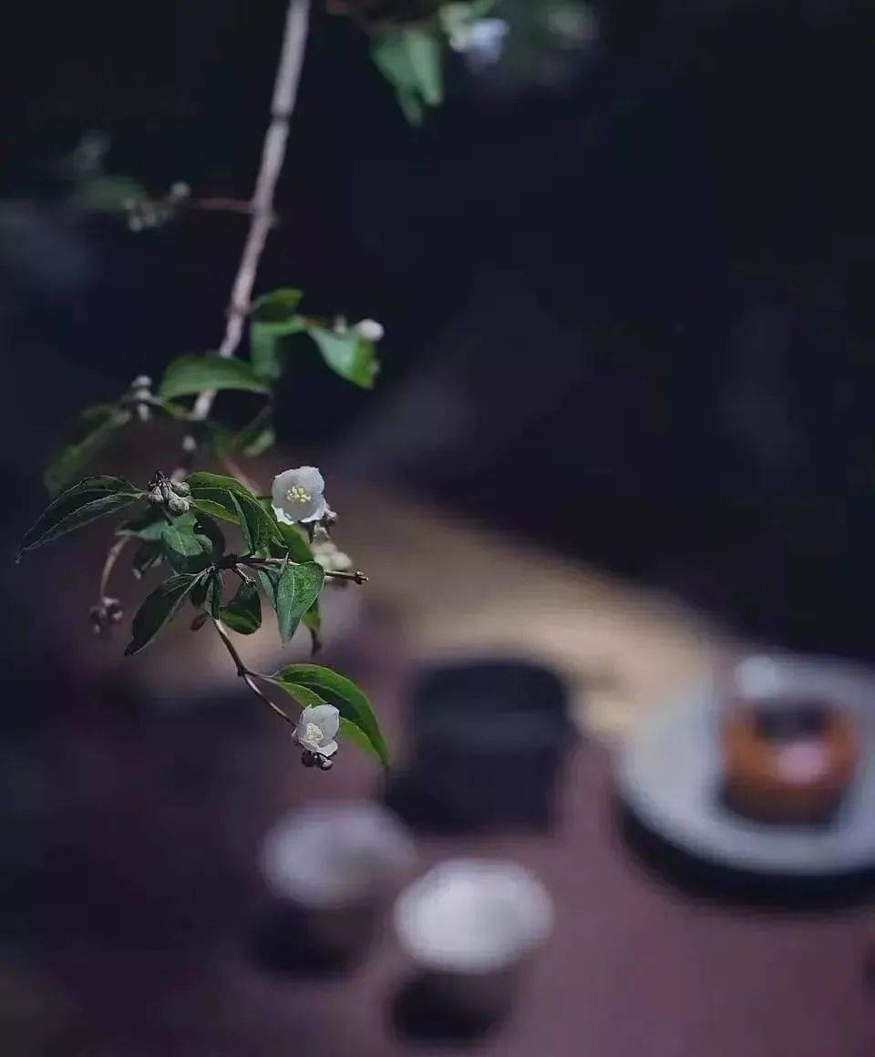 后半生的风水,从扔掉这三样开始_生活_社交_内心