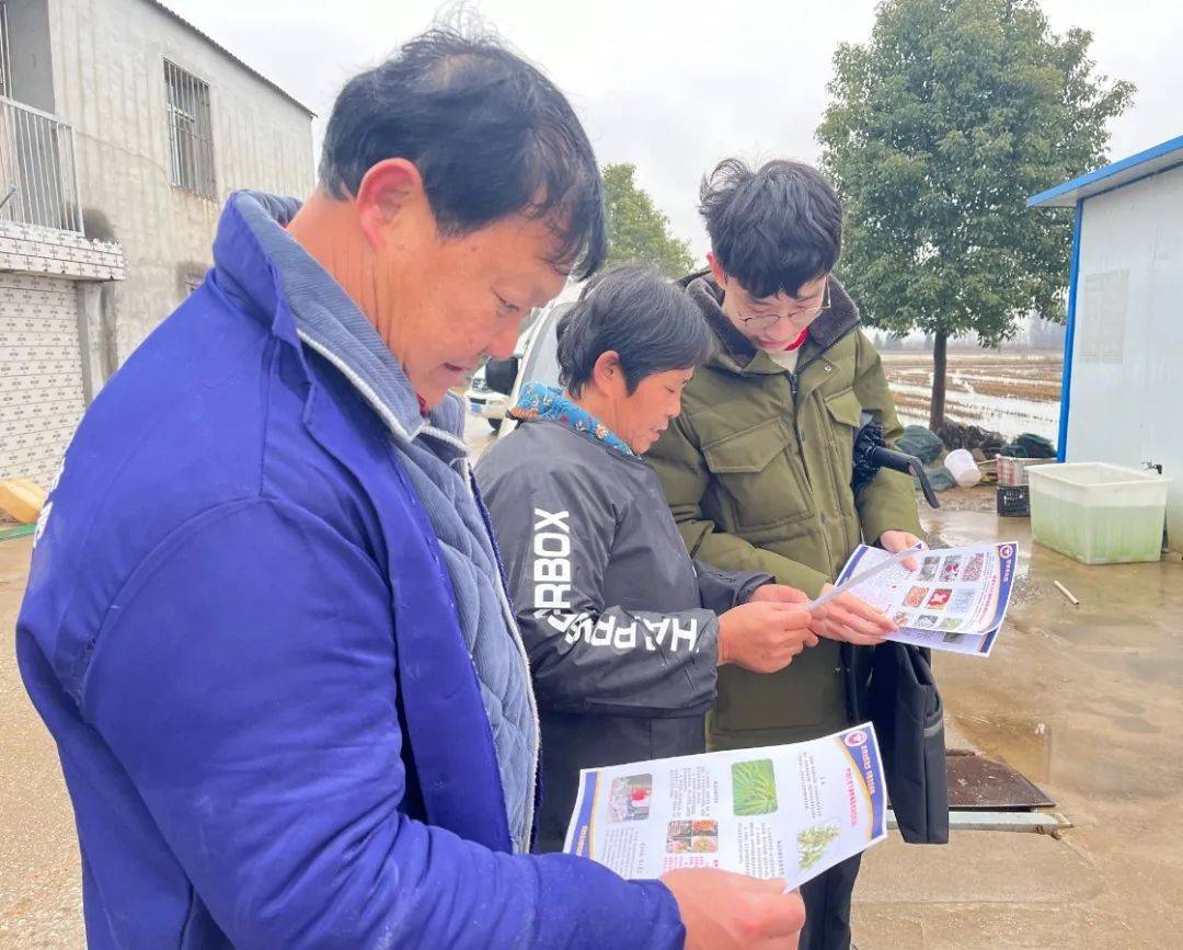 大冶市开展禁种铲毒专项工作