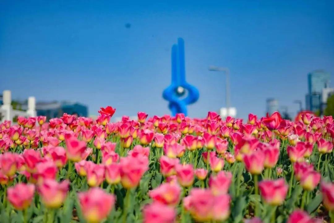 有一说一话济南泉在济南过五一