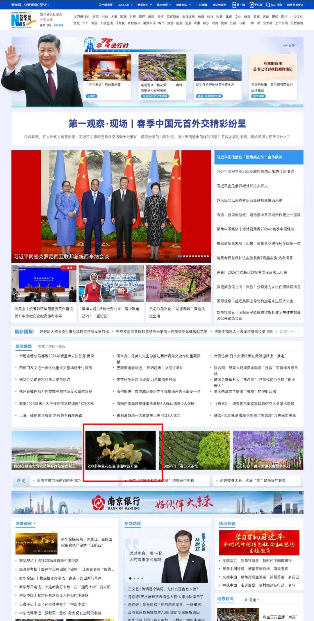 看一眼就沦陷了盘龙区这个兰花展亮相新华网总网首页人民网