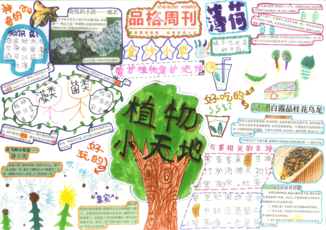 掌握这5点,轻松写出剪贴报读后感!