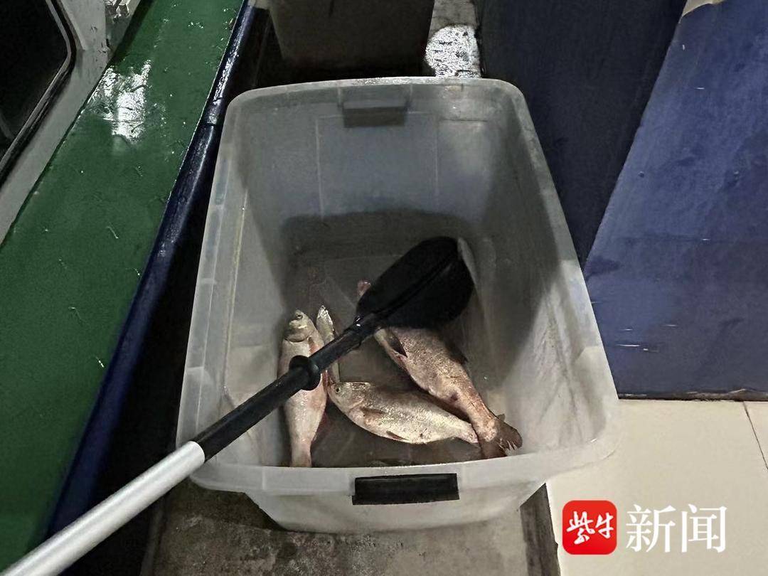 维护水域生态严打非法捕捞