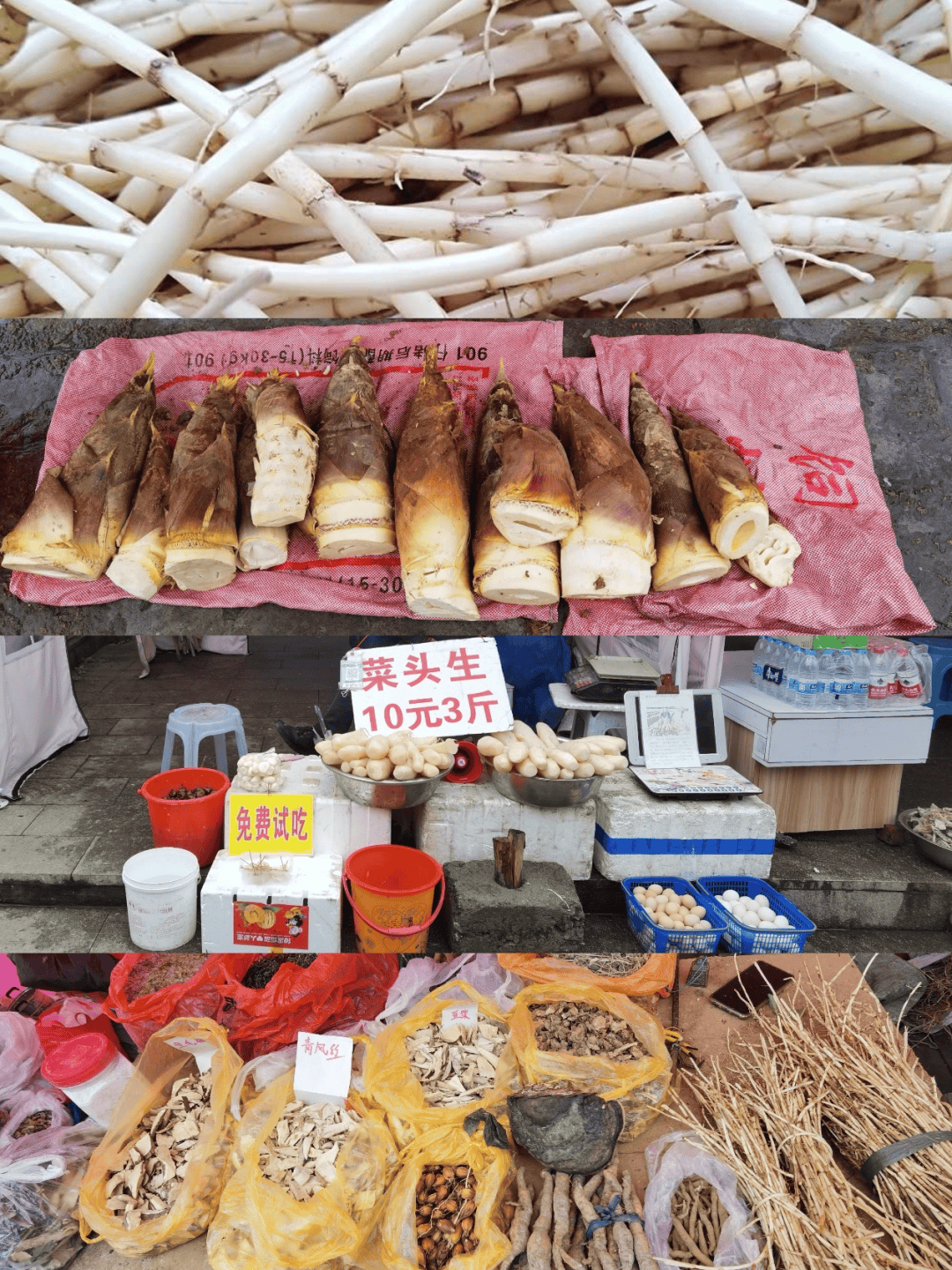 圣井左舍精品民宿等,酒店有辰茂阳光友悦酒店,金马国际中盟酒店,马屿