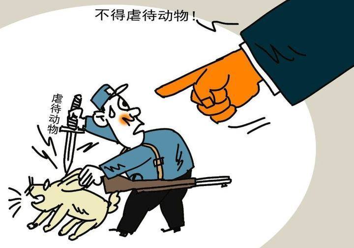 虐猫考生牵出黑产链惩治真的无法可依吗