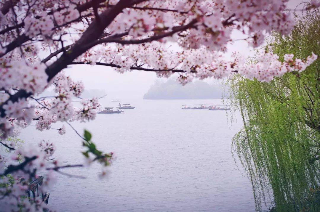 中国的春天有多惊艳这些地方告诉你答案