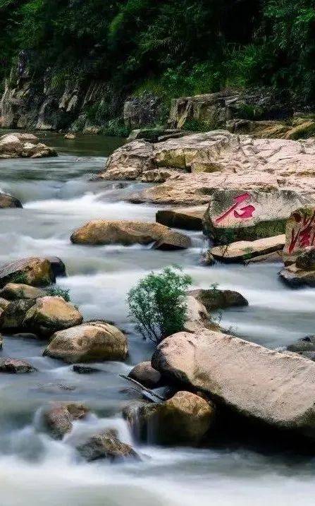 春来踏青丨这几个四会的好地方你去了吗?_肇庆_景区_湿地