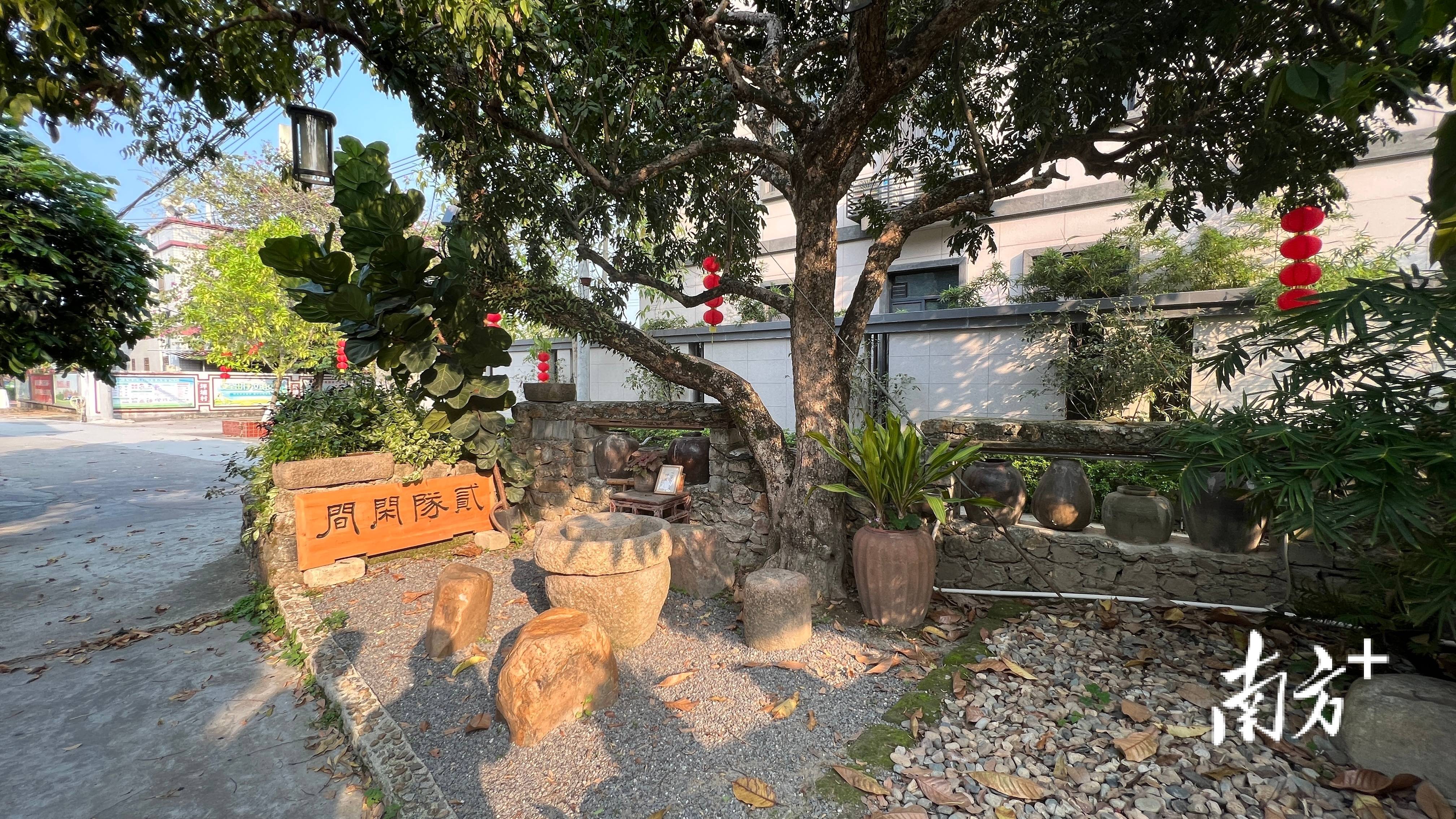 走读"百千万工程"典型村 | 湘桥区意溪镇坪埔村:产业提升"含绿量"