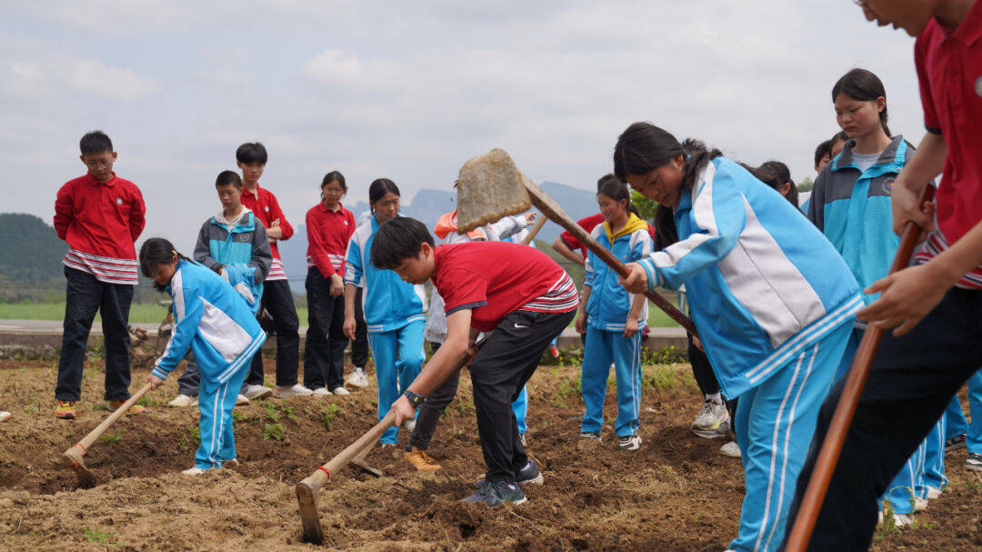 春耕研学游开启别样春天