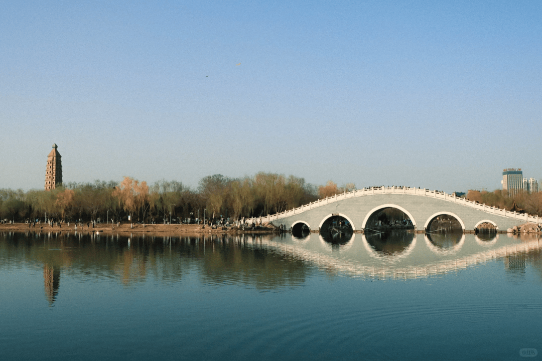 "公园20分钟效应是真的",银川必打卡的十大公园带你去看看~_运动_宁夏