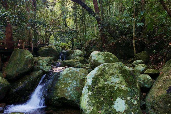 崔湘青白石岭海南作家新时代新农村系列主题采访作品