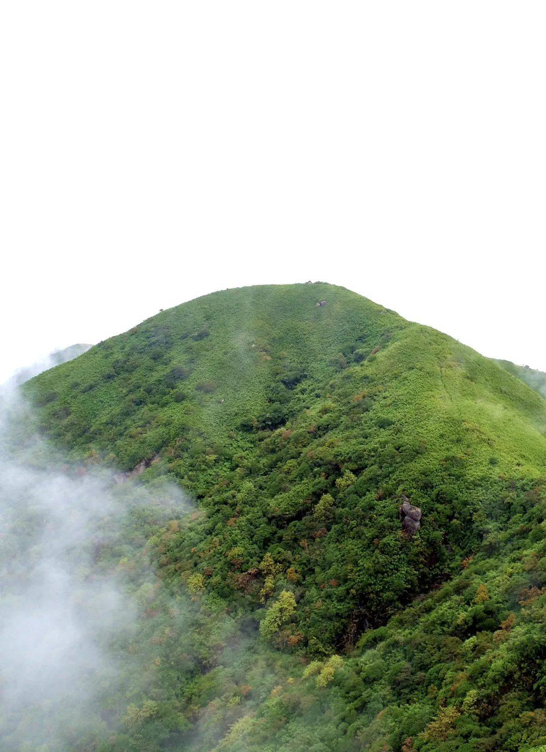 湖南海拔最高的春天在这里