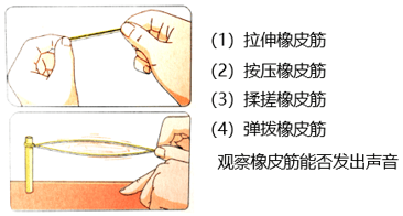 【灵动科教】声音是怎样产生的_振动_橡皮筋_运动