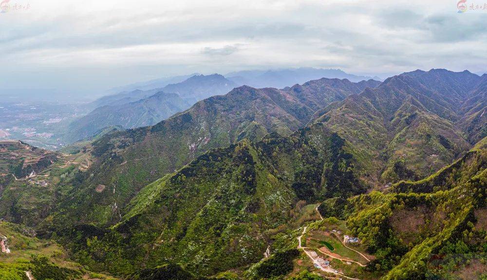 4月10日,在西安市长安区子午街道百塔寺村天子峪,绽放的白鹃梅花遍布