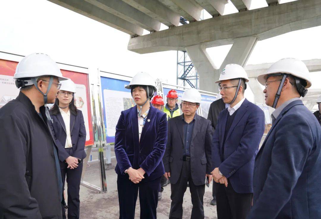 王慧琳副市长调研市域快速路海盐射线项目