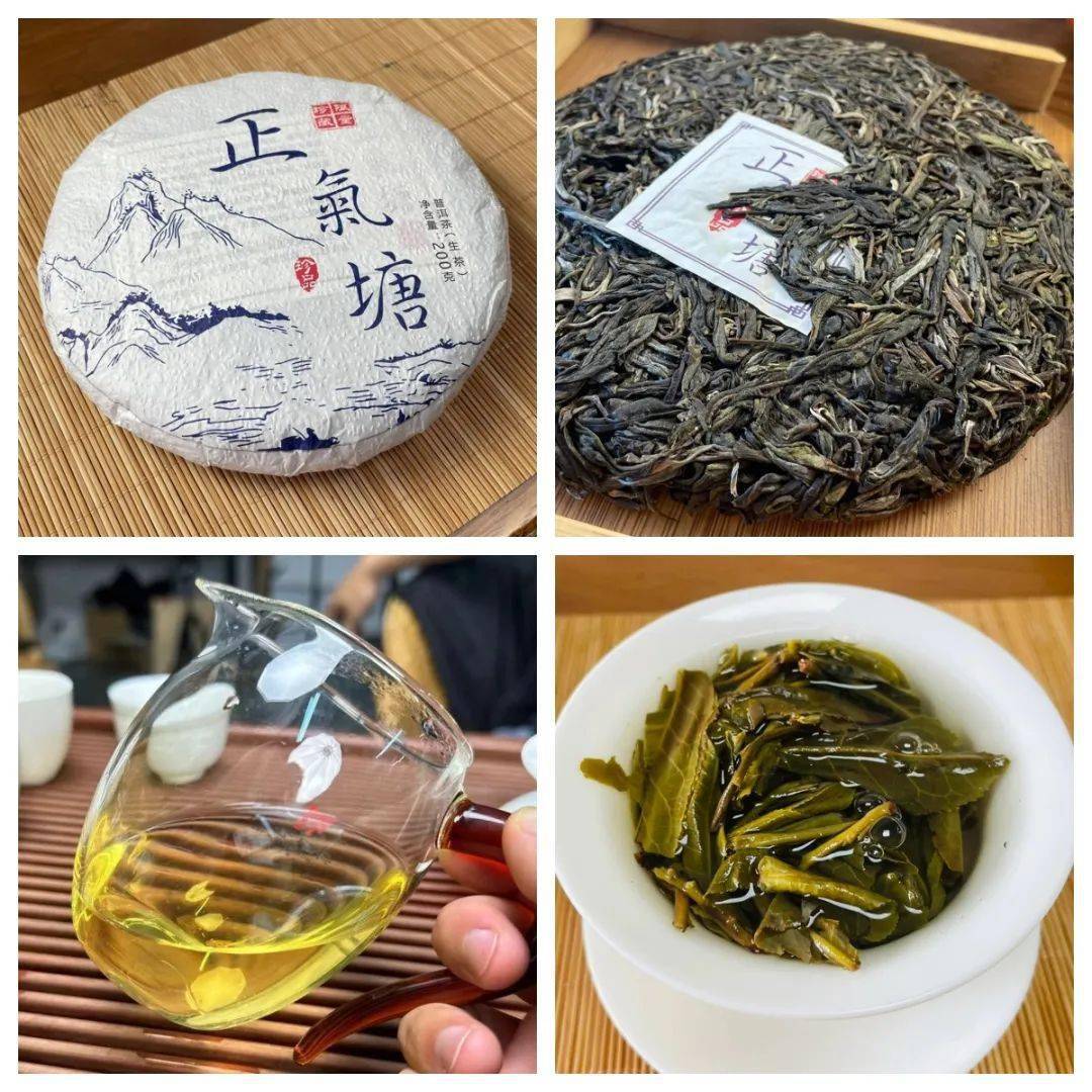 云南古树普洱高货源头直发,一斤也是批发价!_古树生_山头_茶叶