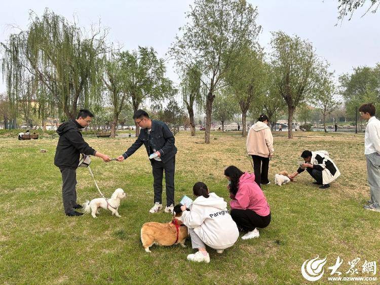 东昌府区古楼街道开展文明养犬宣传活动