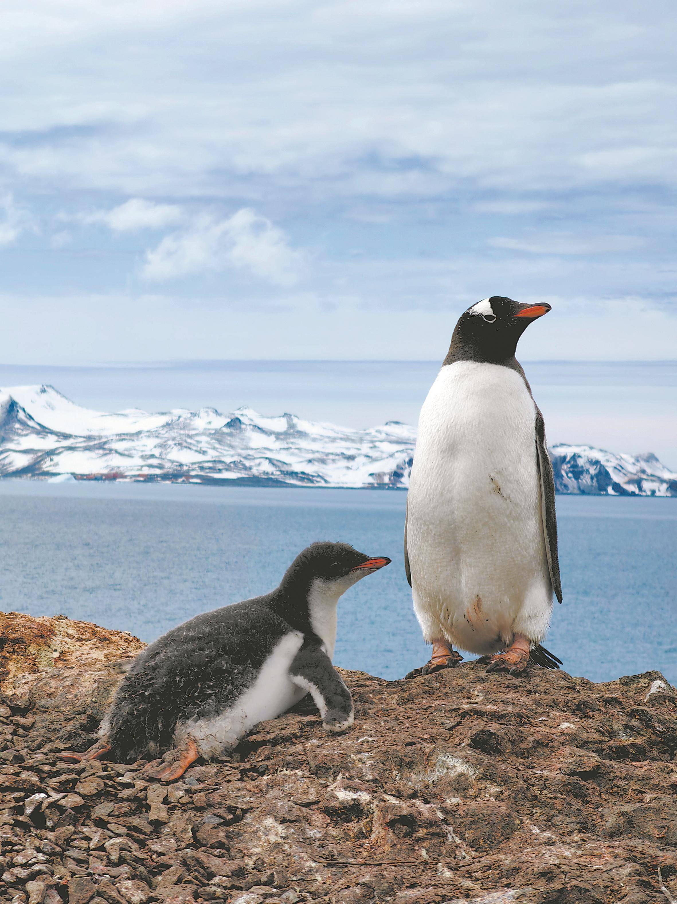 世界尽头的"科学宝库"_南极_刘鸿伟_采样